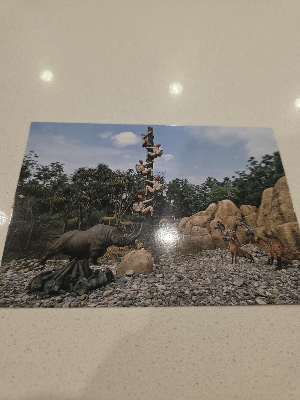 Vintage Tokyo Disneyland Postcard Lot (5) Cinderella Castle Safari Mickey 1980s - Picture 6 of 8